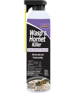 Revenge Wasp & Hornet Aerosol 15oz.