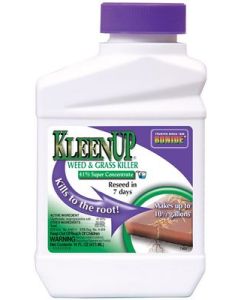 Bonide KleenUp Grass & Weed Killer - Pint Concentrate