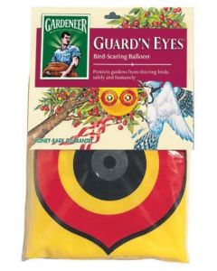 Dalen Guard N Eyes™