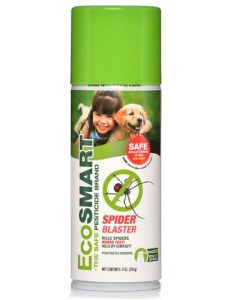 EcoSmart Spider Blaster - 9 oz. Aerosol