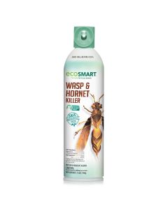 EcoSmart Wasp & Hornet Killer - 14 oz Aerosol
