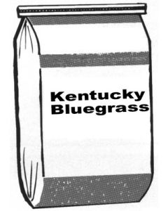 Kentucky Bluegrass - 25 lbs.