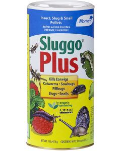 Monterey SLUGGO Plus - 1 lbs.