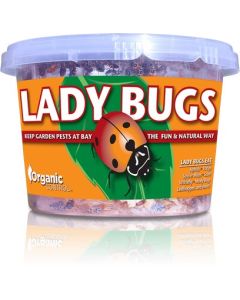 Organic Control Lady Bugs - 500 pack