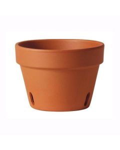 Southern Patio Orchid Clay Pot - 6 in.