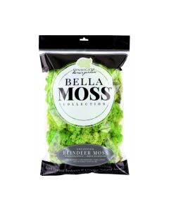 Syndicate Reindeer Moss - 80 cu in. Chartreuse