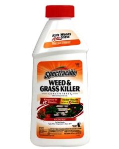 Spectracide Weed & Grass Killer Concentrate - 16 oz.