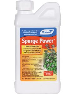 Monterey Spurge Power - Pint Concentrate