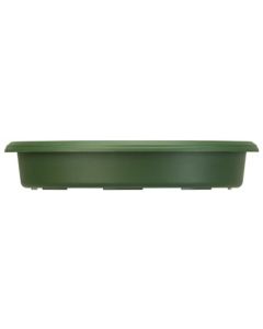 Panterra Saucer - 6 in. Green