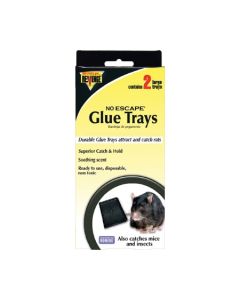 Bonide REVENGE® Baited Rat Glue Tray - 4 pack