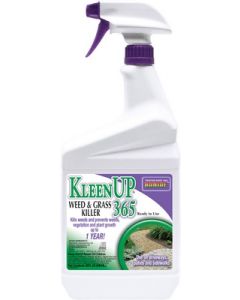 Bonide KleenUp® 365 - Quart Ready-To-Use