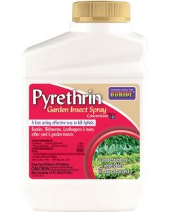 Bonide Pyrethrin Garden Insect Spray - Pint Concentrate