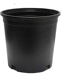 Nursery Containers - #2, 2 Gallon