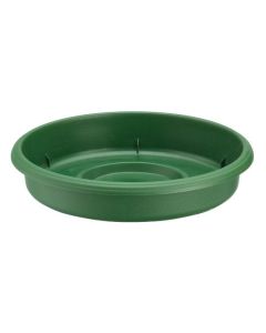 SAUCER GROWER 10IN GREEN