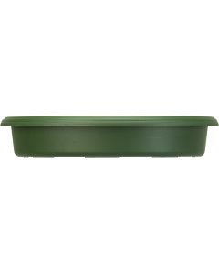 Panterra Saucer - 10 in. Green