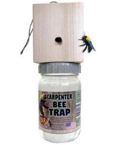 Billy Bob Products - Hanging Outdoor Carpenter Bee Trap 8 Piece Counter Display