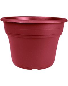 Panterra Pot - 12 in. Clay