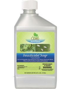 INSECTICIDAL SOAP 16OZ